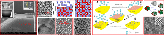 Dr. Stanko Brankovic's research